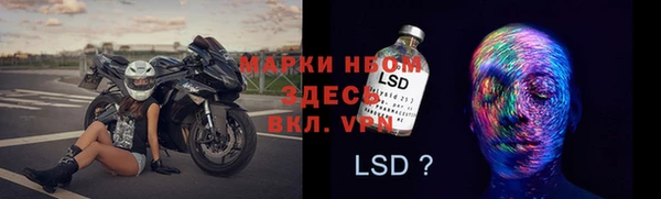 хмурый Алзамай