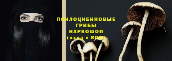 хмурый Алзамай