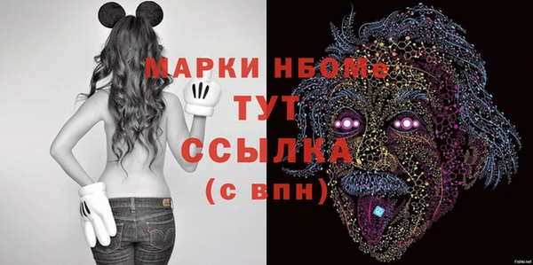 хмурый Алзамай