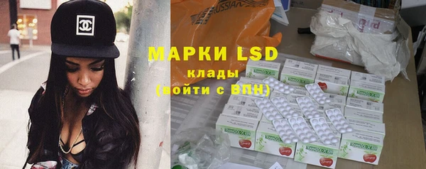 хмурый Алзамай