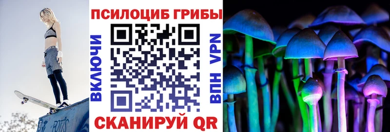 площадка официальный сайт  Балашиха  Галлюциногенные грибы мухоморы  что такое  