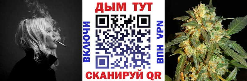 где купить наркотик Балашиха Конопля Ganja
